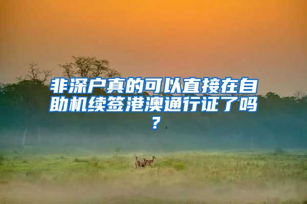 非深户真的可以直接在自助机续签港澳通行证了吗？