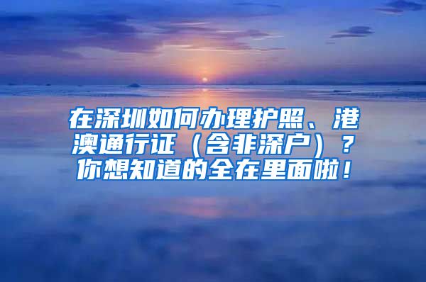 在深圳如何办理护照、港澳通行证（含非深户）？你想知道的全在里面啦！