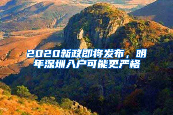 2020新政即将发布，明年深圳入户可能更严格