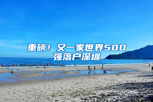 重磅！又一家世界500强落户深圳