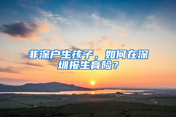 非深户生孩子，如何在深圳报生育险？