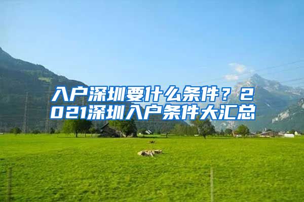 入户深圳要什么条件？2021深圳入户条件大汇总