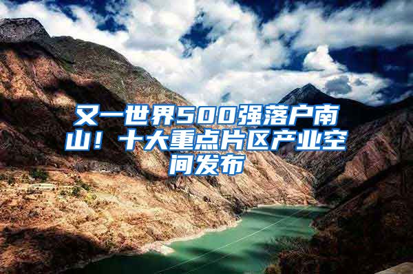 又一世界500强落户南山！十大重点片区产业空间发布