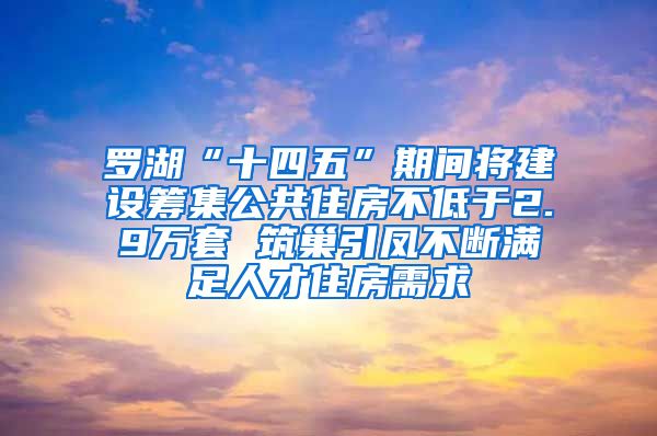 罗湖“十四五”期间将建设筹集公共住房不低于2.9万套 筑巢引凤不断满足人才住房需求