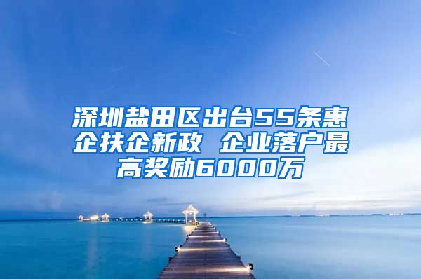 深圳盐田区出台55条惠企扶企新政 企业落户最高奖励6000万