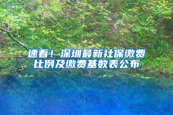 速看！深圳最新社保缴费比例及缴费基数表公布