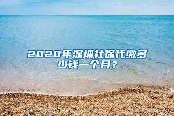 2020年深圳社保代缴多少钱一个月？