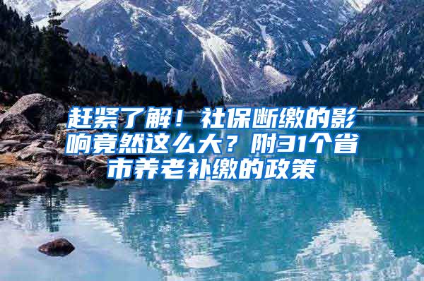 赶紧了解！社保断缴的影响竟然这么大？附31个省市养老补缴的政策