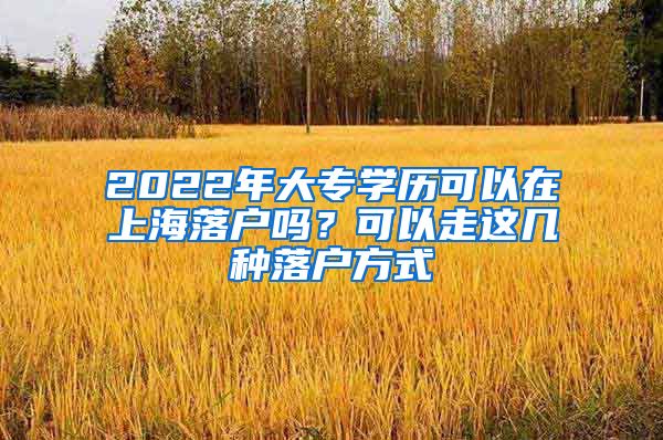 2022年大专学历可以在上海落户吗？可以走这几种落户方式