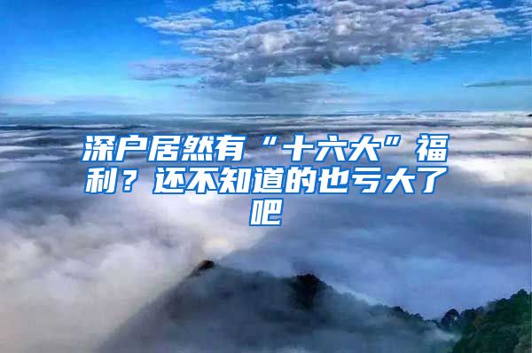 深户居然有“十六大”福利？还不知道的也亏大了吧