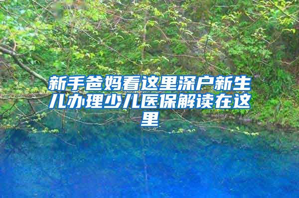 新手爸妈看这里深户新生儿办理少儿医保解读在这里