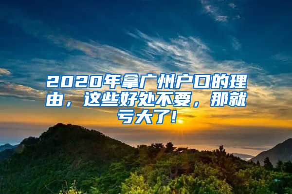 2020年拿广州户口的理由，这些好处不要，那就亏大了!