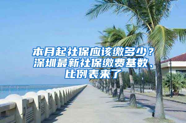 本月起社保应该缴多少？深圳最新社保缴费基数、比例表来了