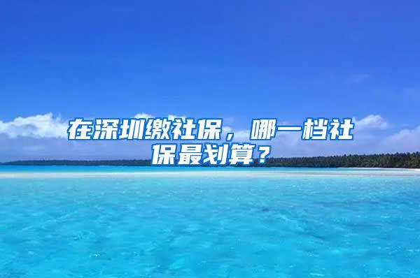 在深圳缴社保，哪一档社保最划算？