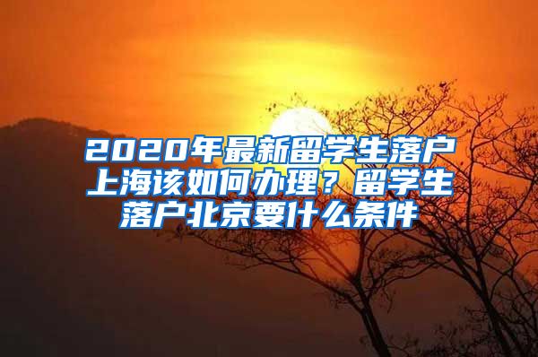 2020年最新留学生落户上海该如何办理？留学生落户北京要什么条件