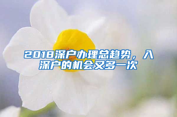 2018深户办理总趋势，入深户的机会又多一次