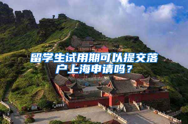 留学生试用期可以提交落户上海申请吗？