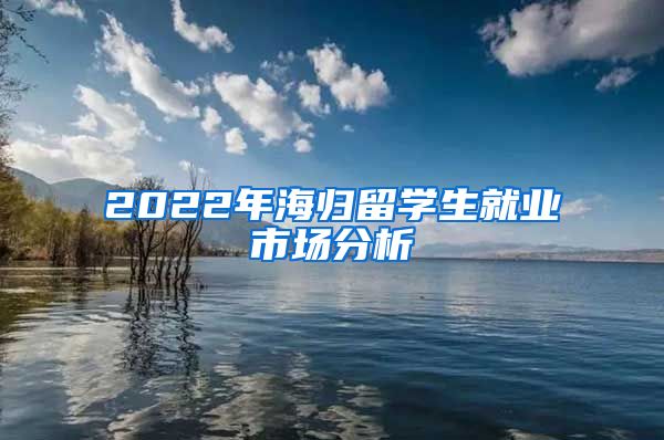 2022年海归留学生就业市场分析